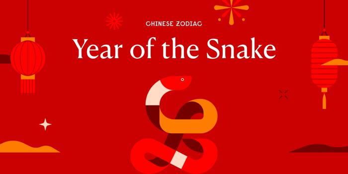 New Year Imlek 2025