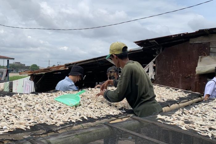 Bantuan UMKM 2025 program pemerintah terbaru