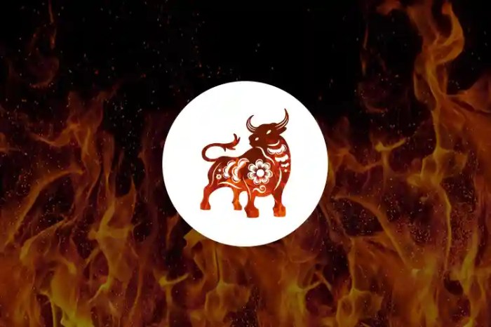 Fire ox chinese horoscope personality year zodiac astrology