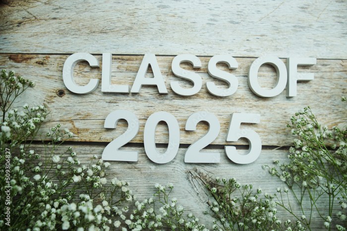 Aplikasi Ijazah Sd 2025