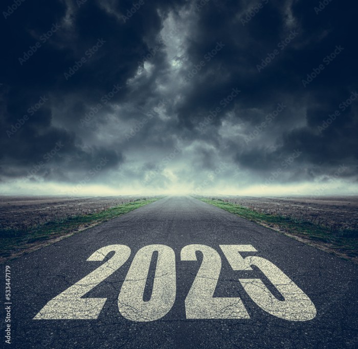 Aplikasi Pemungutan Suara Pemilu 2025
