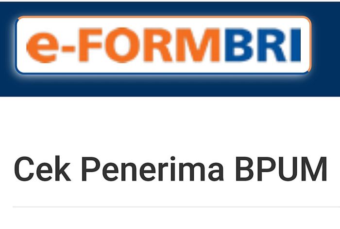 Bpum bri bni banpres syarat produktif usaha mikro