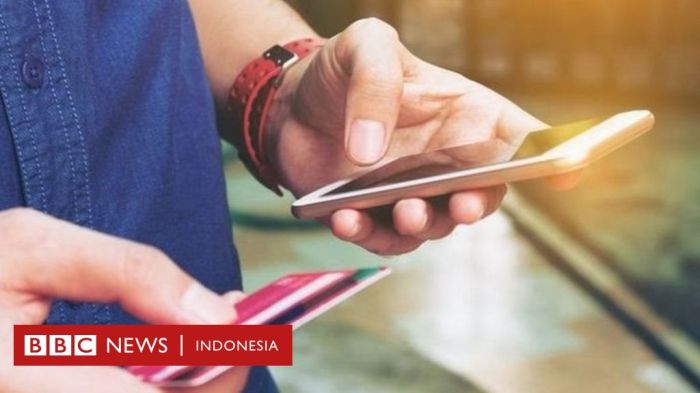 Data Pinjol Ilegal 2025