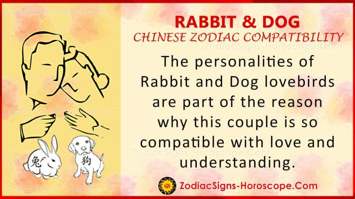 Rabbit compatibility monkey chinese horse dragon dog sheep love rooster tiger zodiac snake sunsigns they get them signs may goat