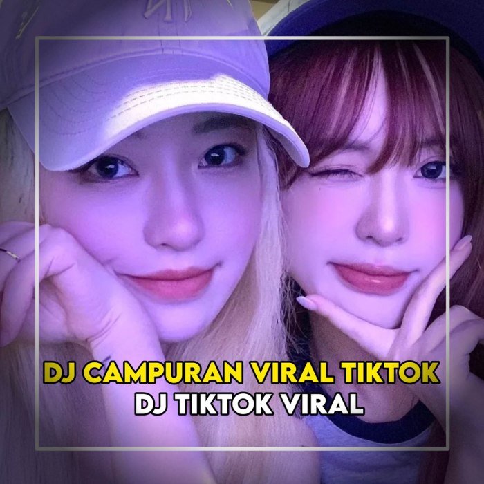Lagu Tiktok Viral 2025 Dj