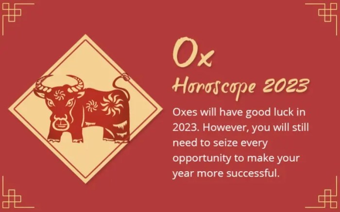 Ox forecast