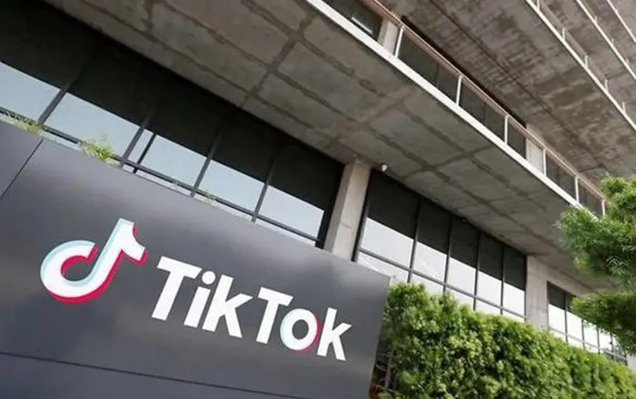 Tiktok Worth 2025