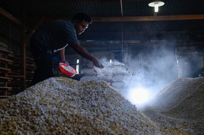 Kenaikan UMK 2025 Nusa Tenggara Barat