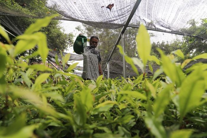 Bagaimana pendapat masyarakat tentang kenaikan UMK 2025?
