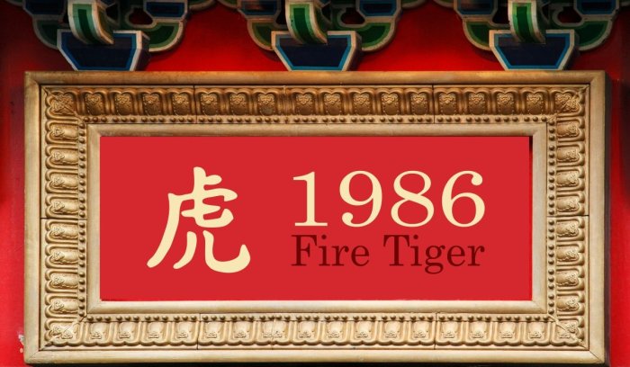 Bagaimana shio Macan menghadapi tahun Ayam Api 2024 secara umum?