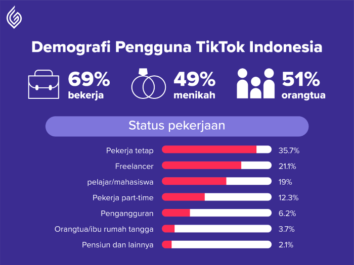 Data Pengguna Tiktok Di Indonesia 2025 We Are Social