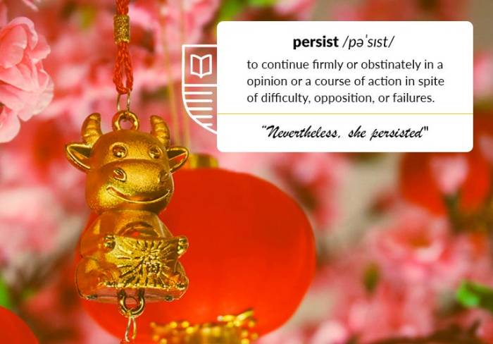 Pendidikan dan pengembangan diri shio Kerbau di tahun 2025