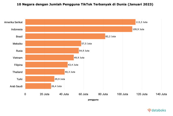 Tiktok Users In Indonesia 2025
