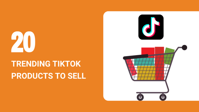 Tiktok Winning Products 2025
