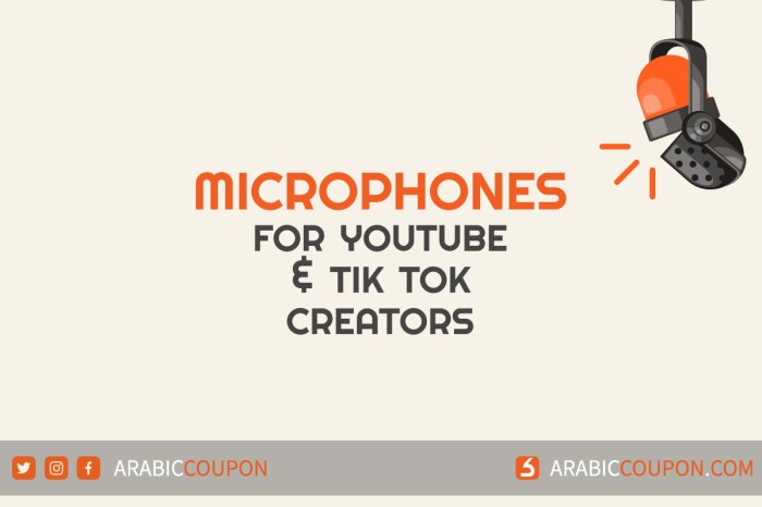 Gimme The Mic Tiktok 2025