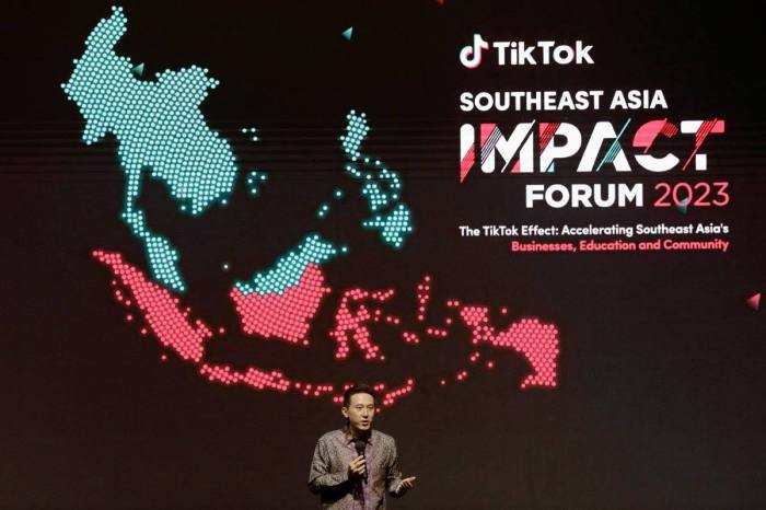 Tiktok Market Cap 2025