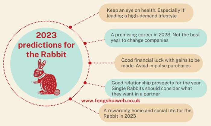 Ramalan shio Kelinci tahun 2025 untuk mengatasi tantangan