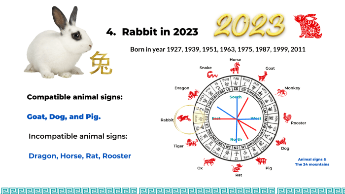Olahraga apa yang cocok untuk shio Kelinci di tahun 2025?