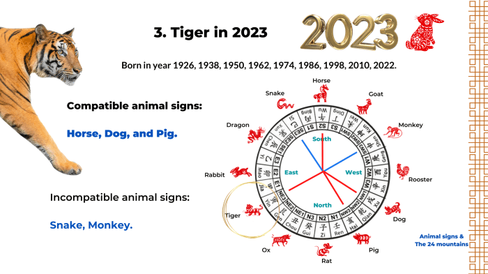 Investasi apa yang cocok untuk shio Macan di Desember 2024?
