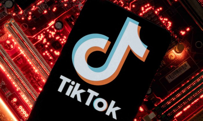 Tiktok 2025 Terbaru