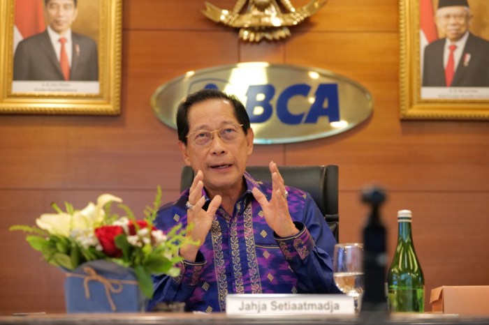 Pinjaman BCA 2025 Youtube Lida