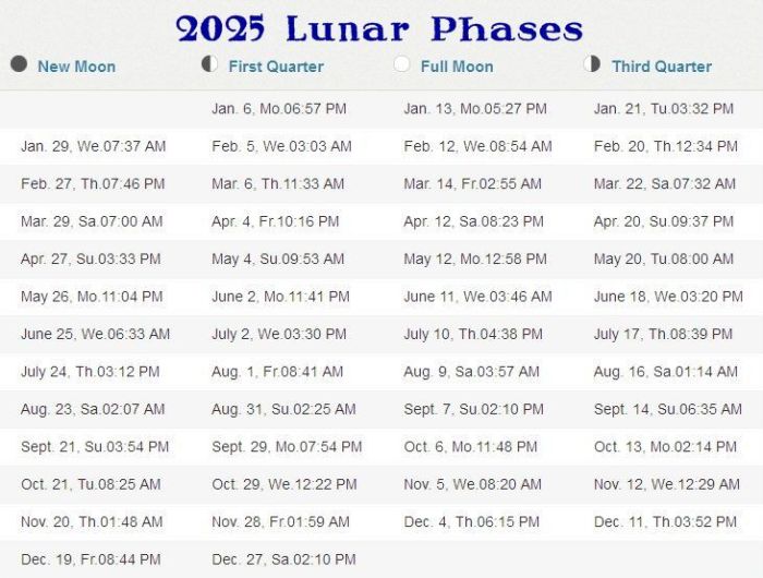 Imlek 2025 Lunar