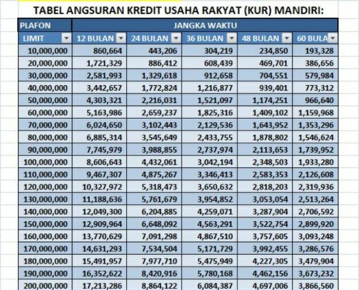 Bunga Pinjaman Mandiri 2025