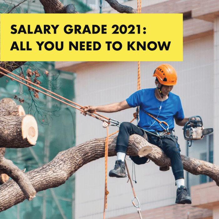 Servants salary payslip permission