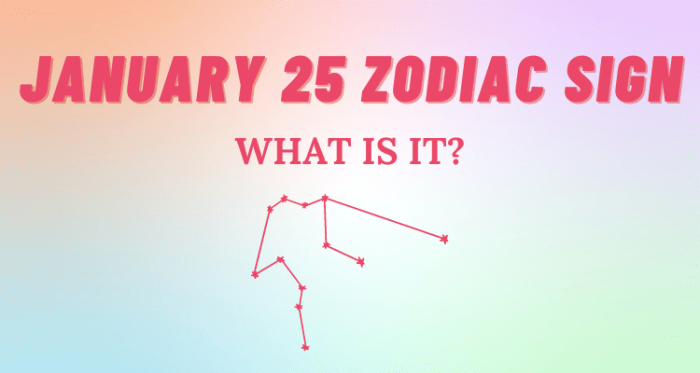 Skin Zodiac Januari 2025