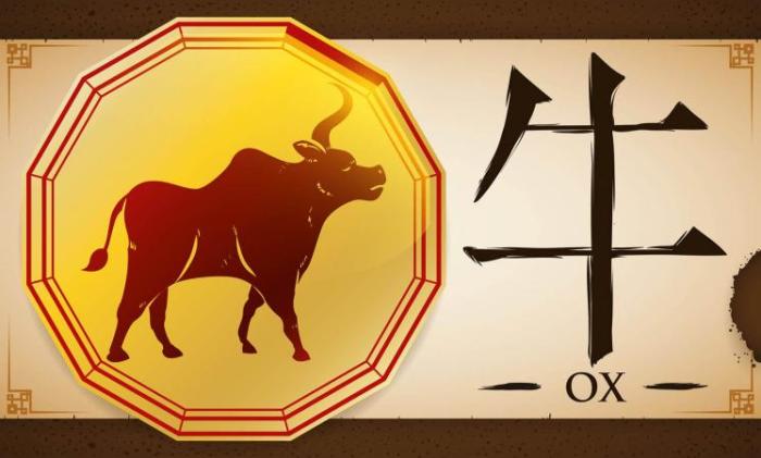 Investasi apa yang cocok untuk shio Kerbau di Desember 2024?