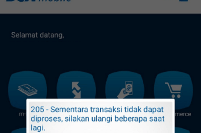 Pinjaman BCA 2025 Error