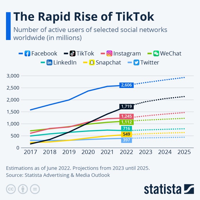 Tiktok 2025 Report