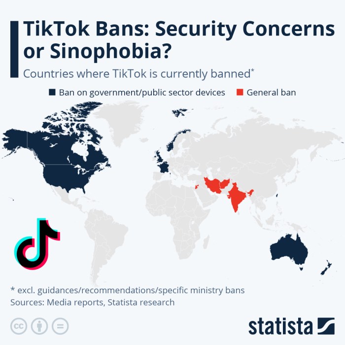 Is Tiktok Getting Banned In 2025