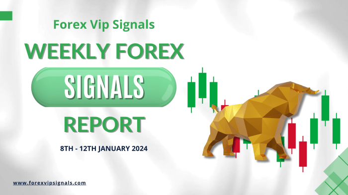 Forex news during Christmas 2024