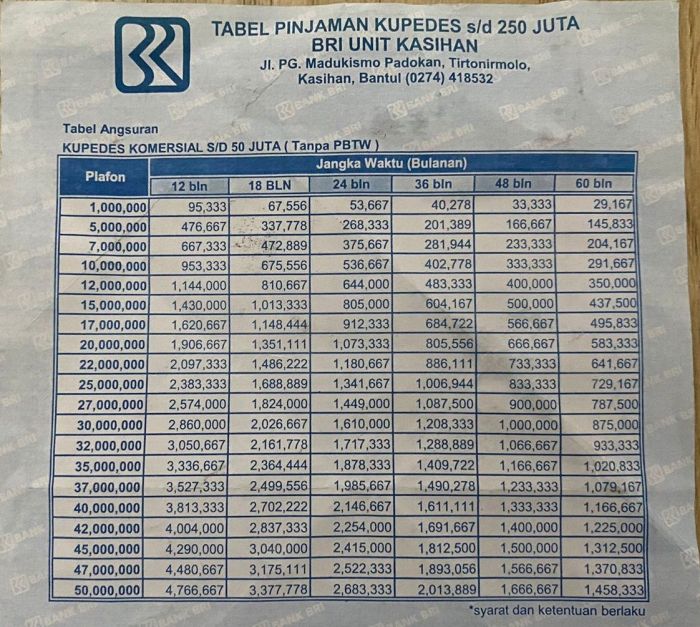 Data Pinjaman Kur BRI 2025
