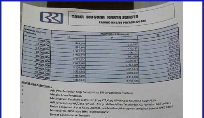 Pinjaman BRI 2025 6 Bulan Terakhir
