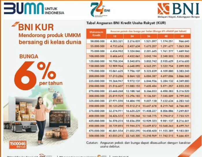 Data Pinjaman Kur BNI 2025