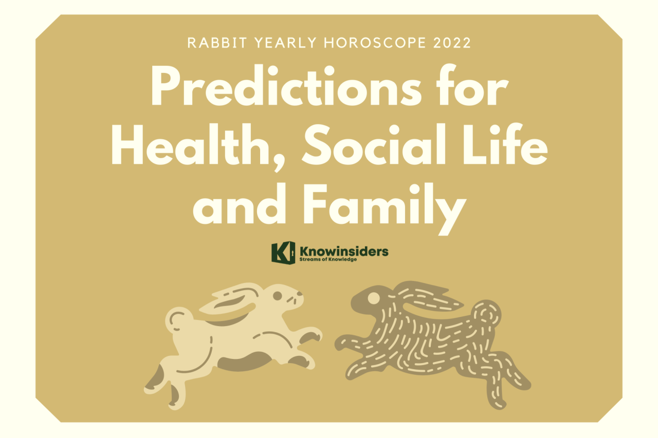 Ramalan shio Kelinci tahun 2025 untuk kesehatan mental