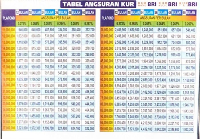 Pinjaman Kur BRI 2025 Maksimal Berapa