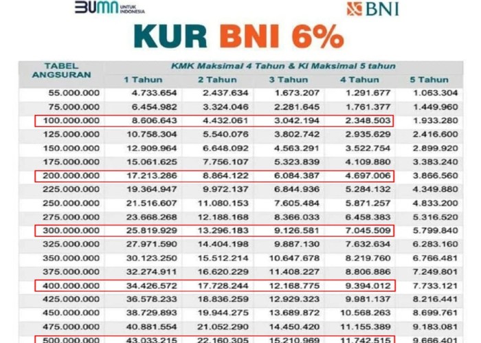 Tabel Pinjaman BNI 2025 Kur