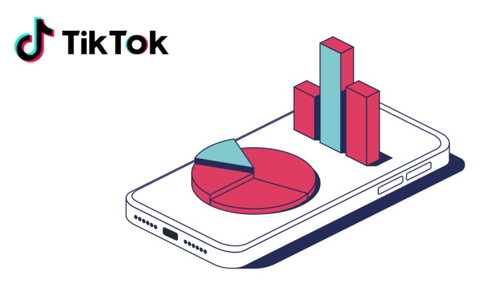 We Are Social Tiktok 2025