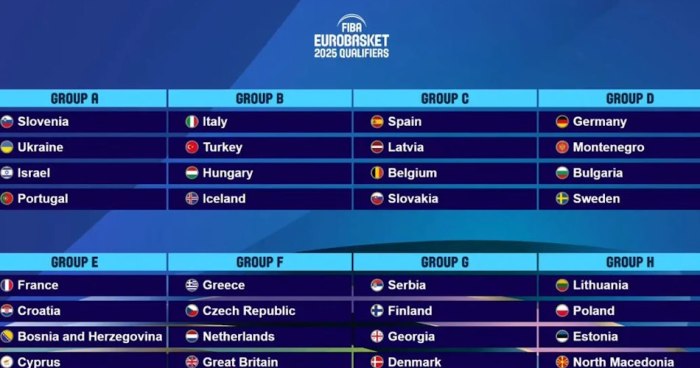 Aplikasi Piala Euro 2025