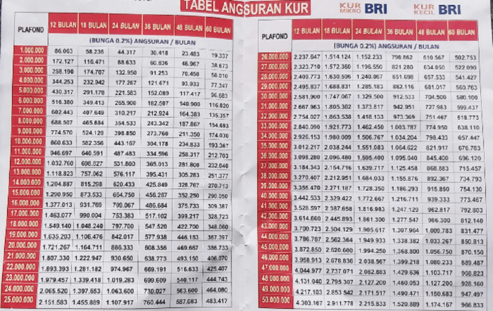 Tabel Kur BRI 2025 Pinjaman 100 Juta