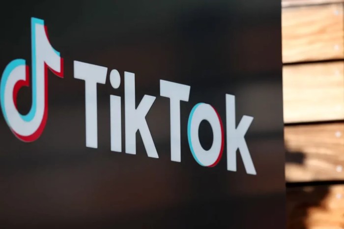 Tiktok Mod Terbaru 2025