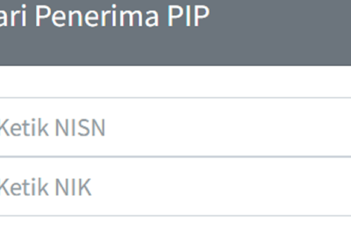 Cek PIP 2025