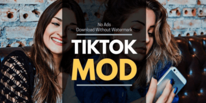 Tiktok Premium Mod Apk 2025