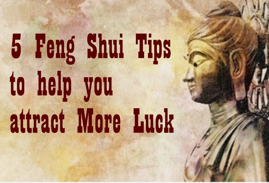 Bagaimana shio Tikus bisa memanfaatkan feng shui untuk meningkatkan asmara di tahun 2025?