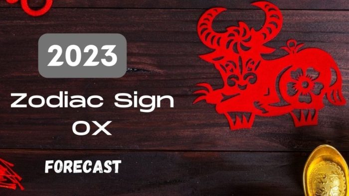 Kristal dan batu keberuntungan untuk shio Kerbau tahun 2025