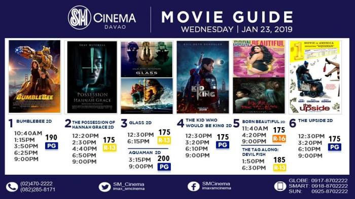 Website apa saja yang menyediakan informasi tentang film bioskop yang tayang 1 Januari 2025?