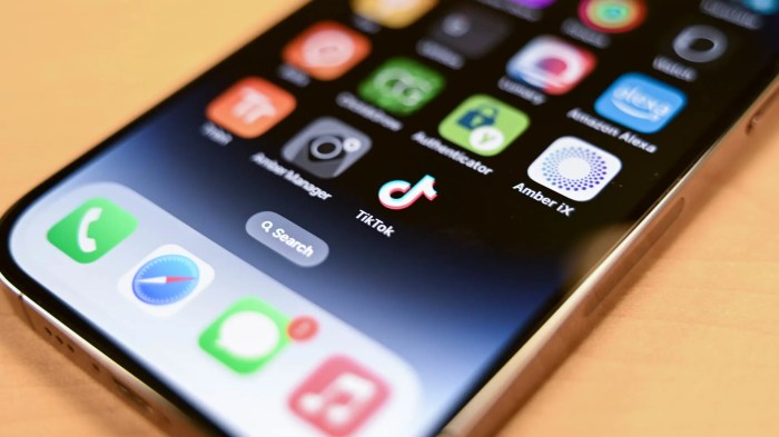 Tiktok stopped arreglar deteniendo sigue soluciona detenido aplicación unfortunately proven